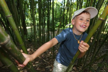 Boy in bamboo grove in Sochi arboretum clipart