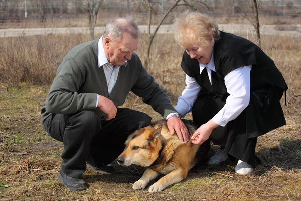 Pareja de ancianos acaricia a un perro — Foto de Stock