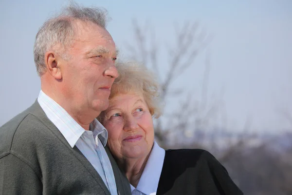 高齢者のカップルの肖像画 — ストック写真