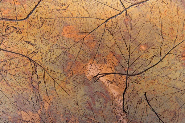 Grunge sonbahar arka plan — Stok fotoğraf