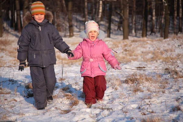 Broer en zus in hout in de winter — Stockfoto