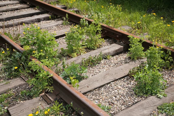Zapomniane kolejowe — Zdjęcie stockowe