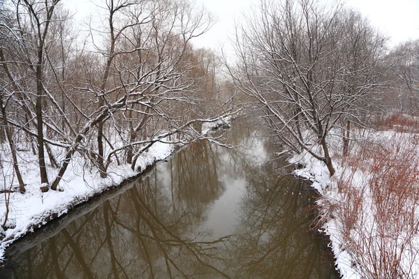 Madera de invierno con río — Foto de Stock