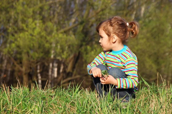 Fű, kezében a kislány ül erdő peremén — Stock Fotó