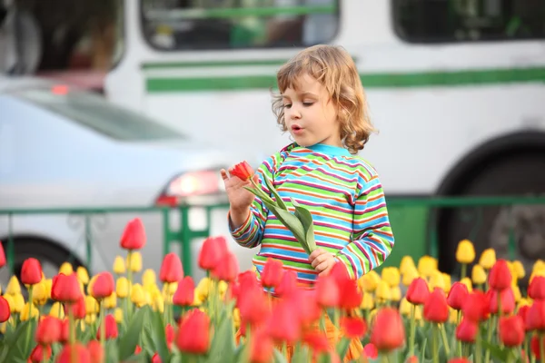 Little girl in striped t-shirt and tulips on street — Stock Photo, Image