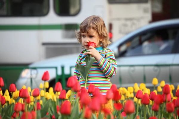 Niña en camiseta a rayas y tulipanes en la calle — Foto de Stock