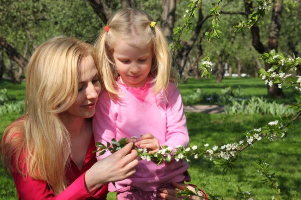 Mother and daughter look at blossoming branch of apple-tree in g — Stock Photo, Image