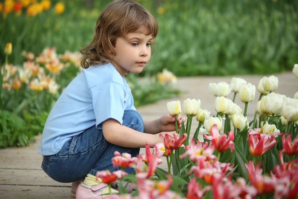 Malá holka sedí na posteli s tulipány — Stock fotografie