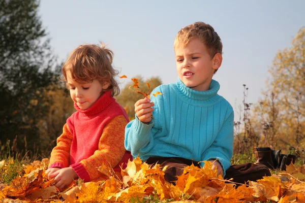 Dos niños se sientan en hojas de arce caídas —  Fotos de Stock