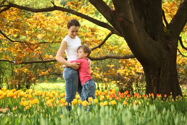 Son embraces mother in garden in spring among blossoming tulips — Stock Photo, Image