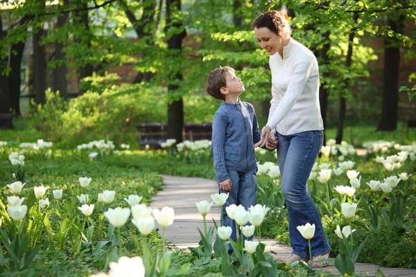 Matka pokazuje syna kwitnących białe tulipany w ogrodzie — Zdjęcie stockowe