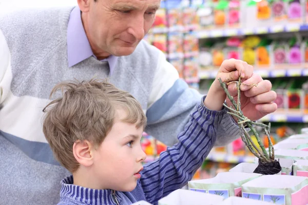Oudere man met jongen in winkel kiezen steeg plantgoed — Stockfoto