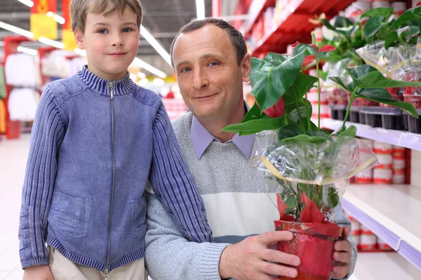 Elderly man with boy in shop with plant in pot — Stock Photo, Image