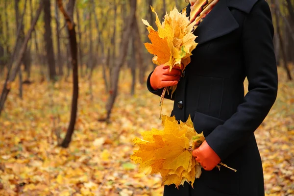 Mãos femininas em luvas vermelhas com folhas amarelas — Fotografia de Stock