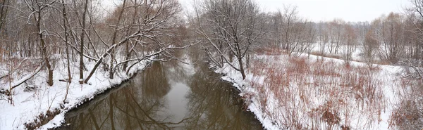 Πανόραμα του χειμώνα ξύλου με τον ποταμό — Φωτογραφία Αρχείου