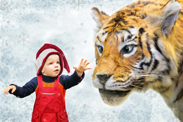 Menino de chapéu de Natal e colagem de tigre — Fotografia de Stock