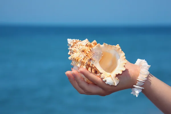 Female hand with seashell on seacoast — Stock Photo, Image