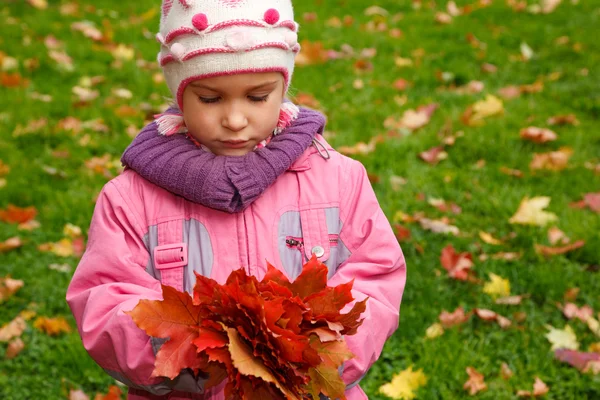 Chica con un montón de hojas —  Fotos de Stock