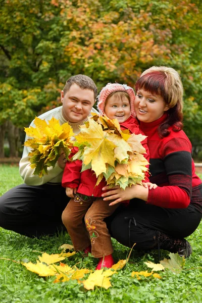Echtpaar en meisje verzamelen esdoorn bladeren in park in een — Stockfoto