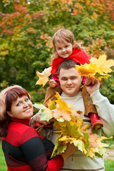 Manželský pár a malá holka sbírat maple leafs v parku v au — Stock fotografie