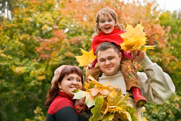 Married couple and little girl collect maple leafs In park in au — Stock Photo, Image