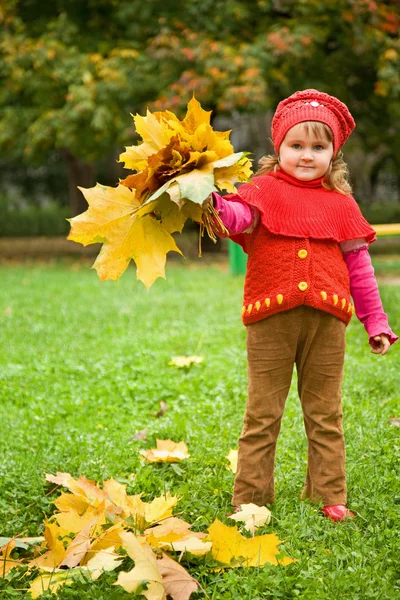 Weinig meisje verzamelen maple leafs in park in het najaar van — Stockfoto