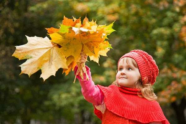 少女秋の公園で手に leafes を保持します。 — ストック写真