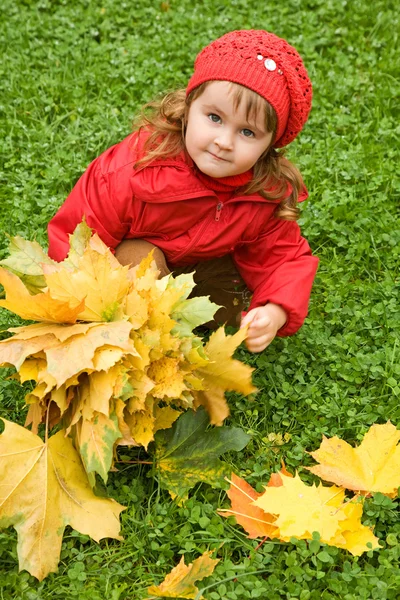 Liten flicka samla maple leafs i höst i park — Stockfoto