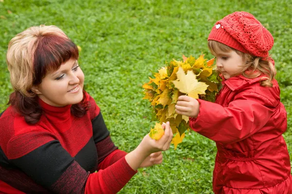 Vrouw en weinig meisje verzamelen maple leafs in park in het najaar van — Stockfoto
