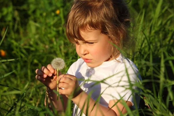 Kleines Mädchen sitzt im Gras mit Löwenzahn in der Hand — Stockfoto