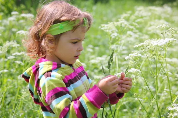 Meisje op glade met gras-mes in hand — Stockfoto