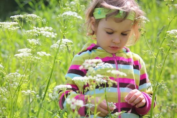 Маленькая девочка на поляне среди цветов — стоковое фото