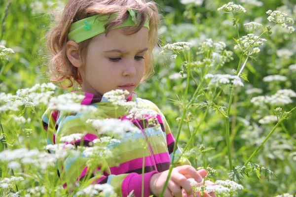 Dziewczynka na polanie wśród kwiatów — Zdjęcie stockowe