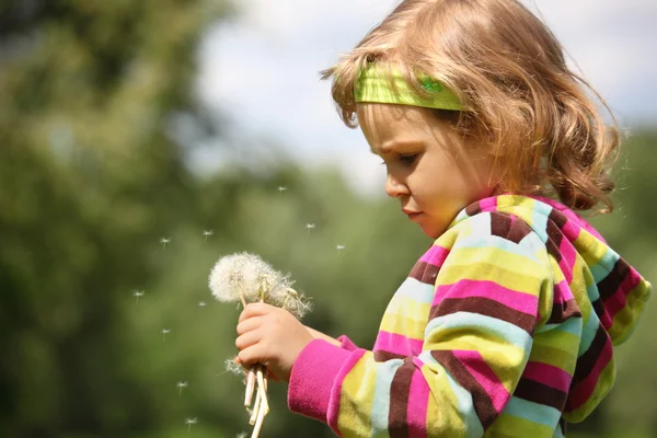 Dandelions el ile küçük düşünceli kız — Stok fotoğraf