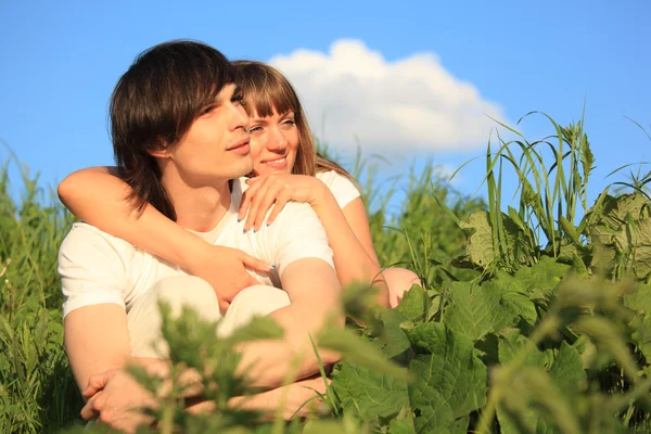 Chica abraza chico detrás para entre un hierba — Foto de Stock