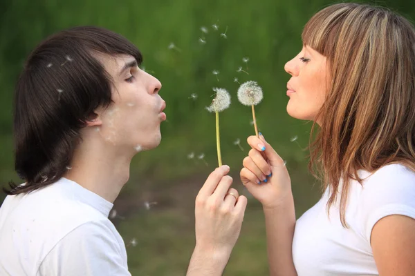Young pair blows on dandelions in hands — Stock Photo, Image