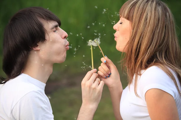 Young pair blows on dandelions in hands — Stock Photo, Image