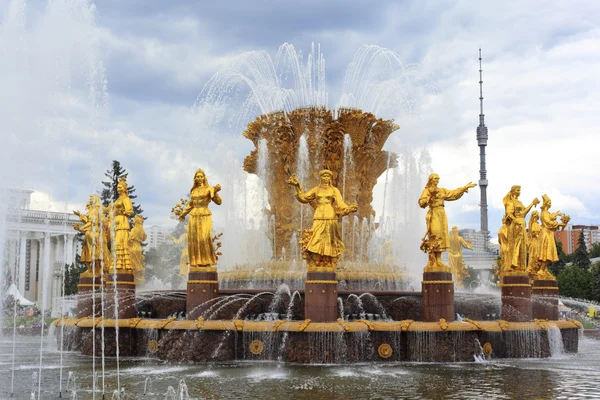 Fontaine "Amitié de la" sur l'exposition toute la Russie — Photo