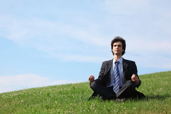 Businessman on grass — Stock Photo, Image