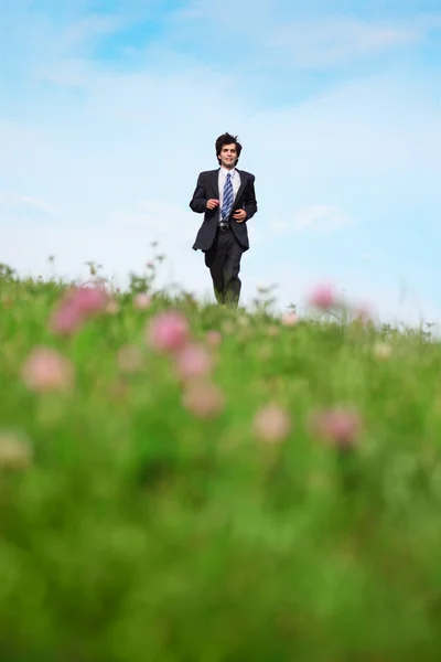 Businessman on grass — Stock Photo, Image