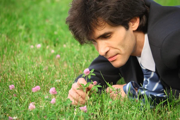Podnikatel ležící na trávě se dívá na květ jetele — Stock fotografie