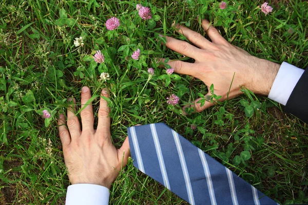 남자의 손, 잔디, 클로버 꽃 넥타이 — 스톡 사진