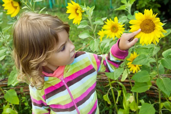 Vrij klein meisje kijkt zonnebloem in tuin — Stockfoto