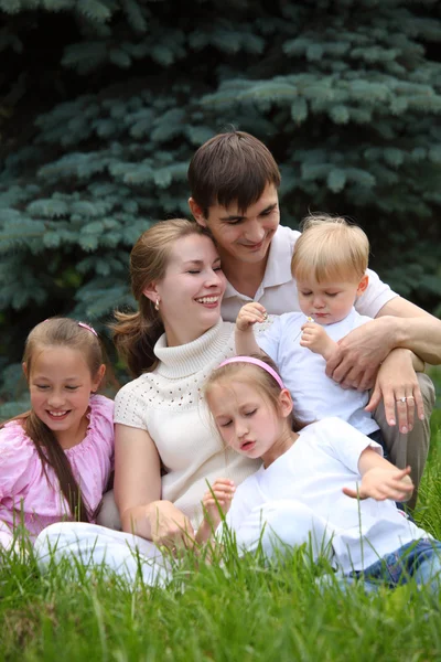 Fünfköpfige Familie im Sommer im Freien — Stockfoto