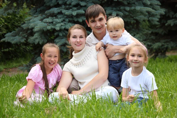Семья из пяти человек на открытом воздухе летом сидеть на траве — стоковое фото