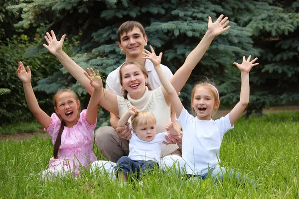 Família de cinco se alegram ao ar livre no verão sentar na grama — Fotografia de Stock
