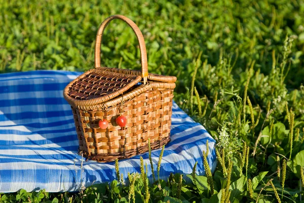 Stock image Basket with sweet cherries on glade