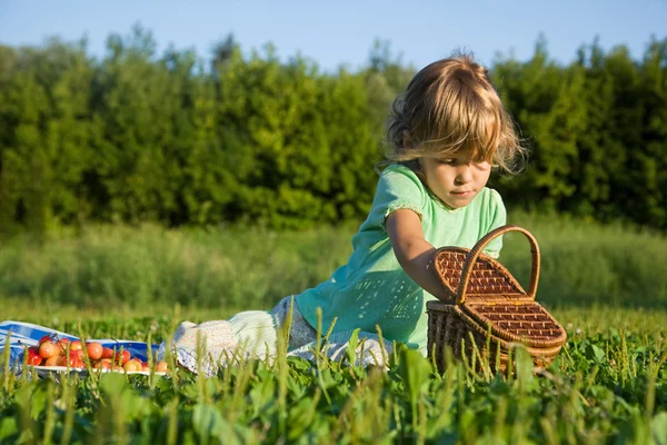 Pretty Little Girl will get from basket sweet cherries in garden — Stock Photo, Image