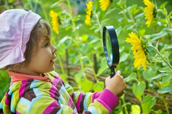 Söt liten flicka med förstoringsglas tittar på blomma — Stockfoto