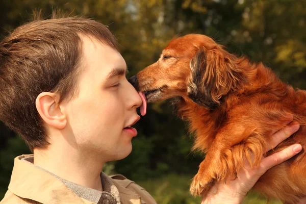 Είδος γερμανικού κυνηγετικού σκύλου γλείφει άνθρωπος στη μύτη — Φωτογραφία Αρχείου